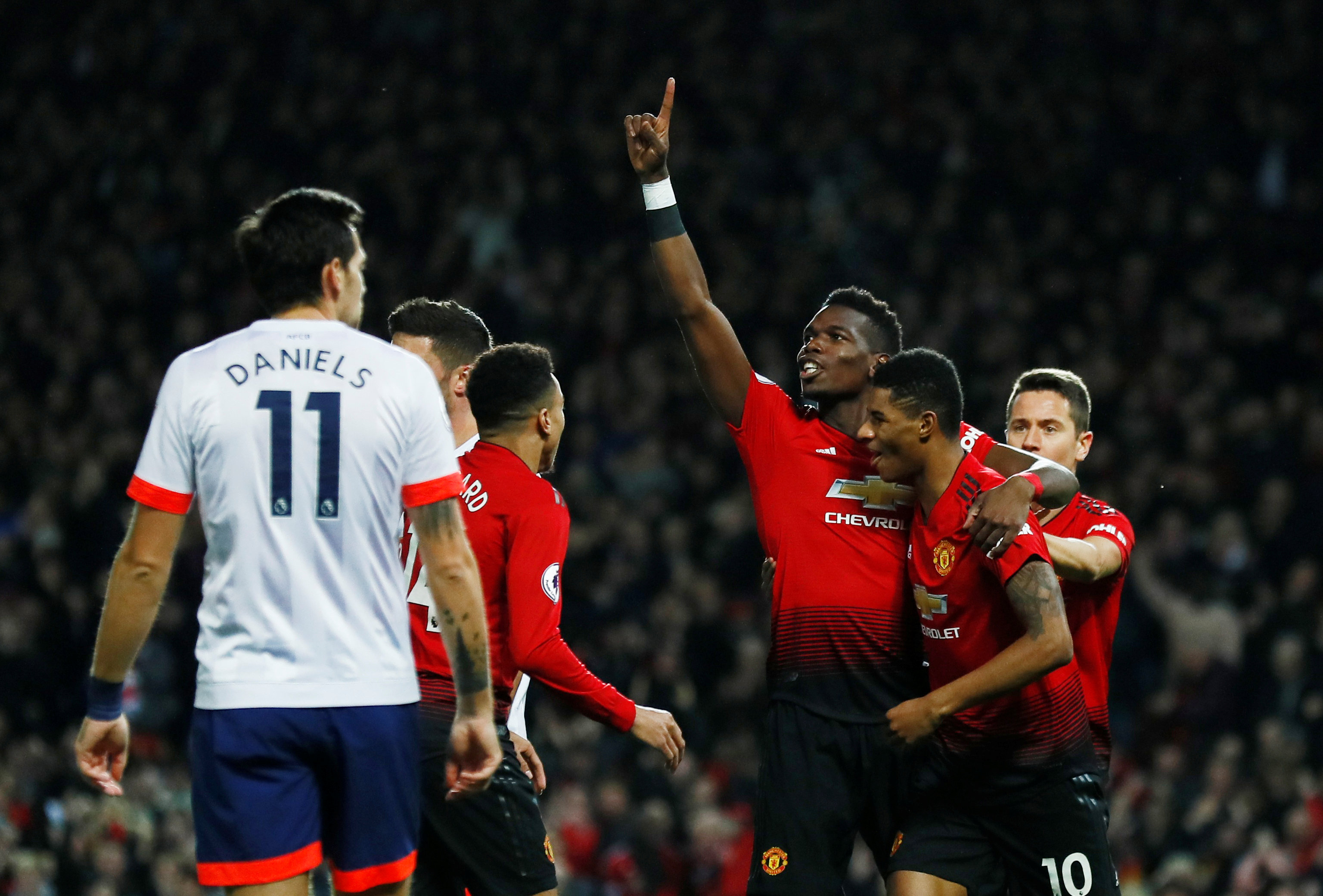 这种坚韧不 这种坚韧不